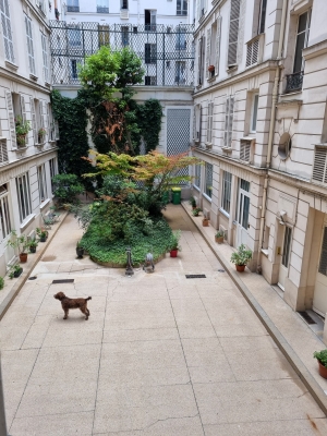 cour.jpg