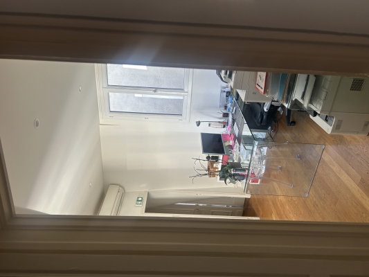 IMG_3955.jpeg
